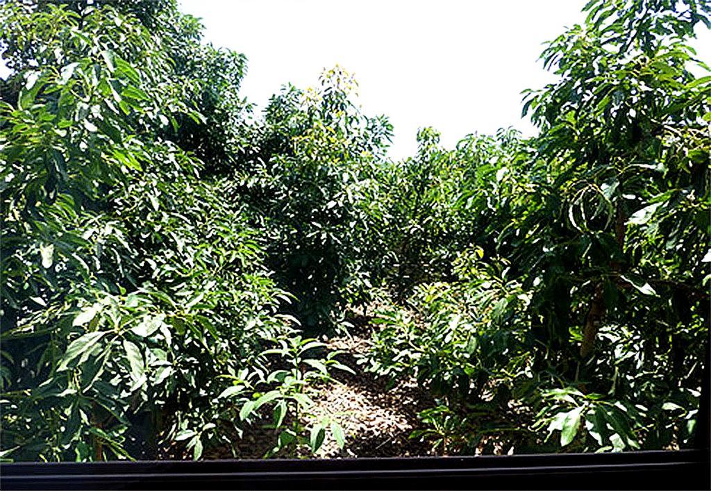 Casa Villa Tenerife Las Galletas Exterior photo